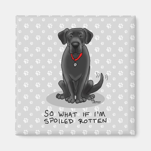 Hund för Svart lab Labrador Retriever Magnet (Framsidan)