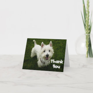 Hund för Tack Väster Terrier Puppy Kort