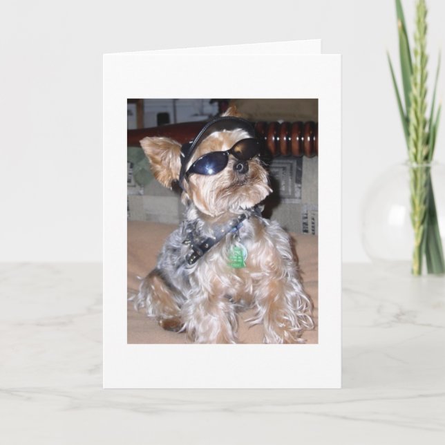 Hund för tuff kort (Framsida)