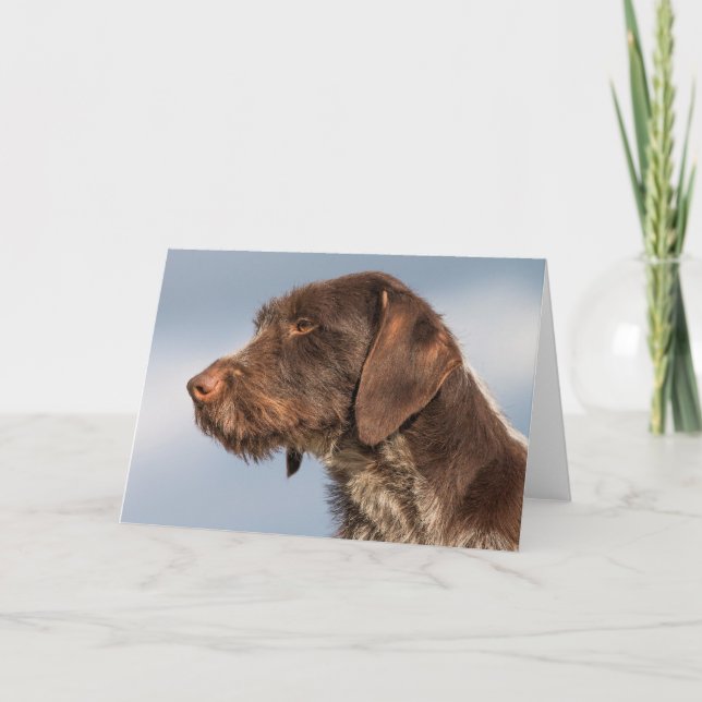 Hund för tyskt hörselpekare kort (Framsida)