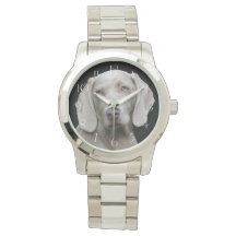 Hund för vacker Weimaraner Hunting