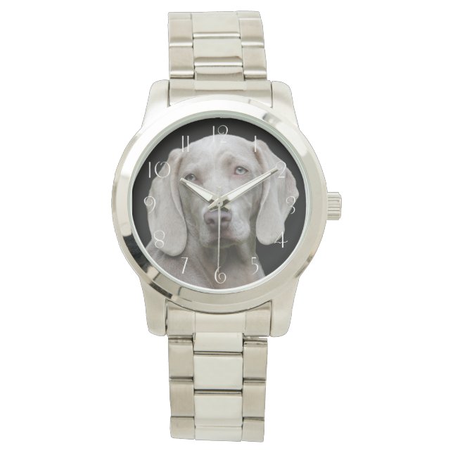 Hund för vacker Weimaraner Hunting Armbandsur (Framsida)