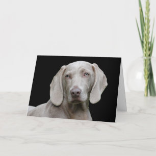 Hund för vacker Weimaraner Hunting Kort