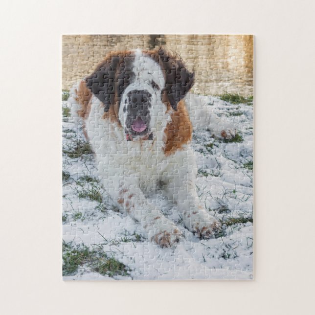 Hund för vackert Saint Bernard Pussel (Vertikal)