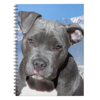 Hund för valp för amerikanPitbull Terrier Anteckningsbok Med Spiral