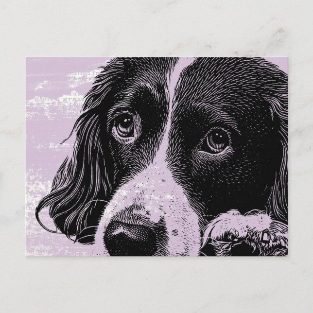 Hund för vintage vykort (Framsida)