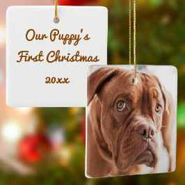 Hund Första julfoto Ceramic Ornament