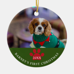 Hund första julfoto-Grönt Julgransprydnad Keramik
