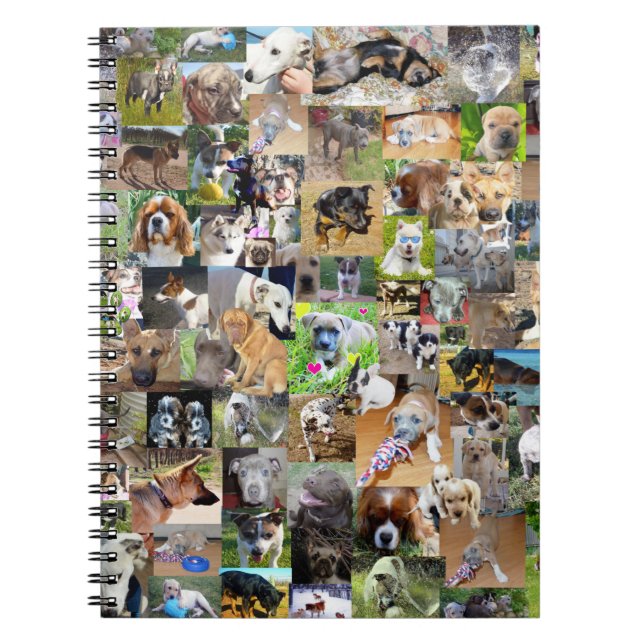 Hund Foto Collage, Anteckningsbok (Framsidan)