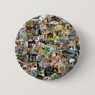 Hund Foto Collage, Knapp