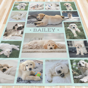Hund Foto Collage Söt Modern Teal Blå och Grå Fleecefilt