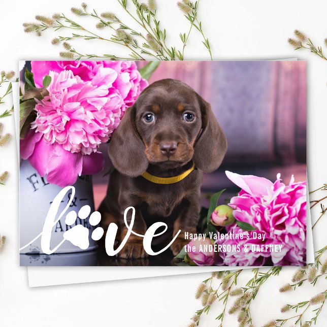 Hund foto för Pet Puppy Puppy i Anpassningsbarna k Julkort (Skapare uppladdad)