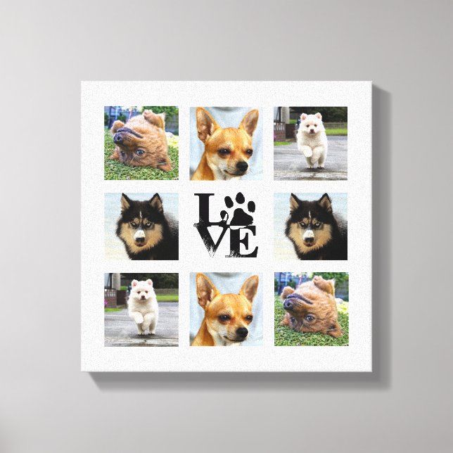 Hund foto högskola 8 Instagram bilder (Framsida)