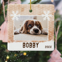 Hund Foto Husdjur Namn Snöflinga Vattenfärg Jul
