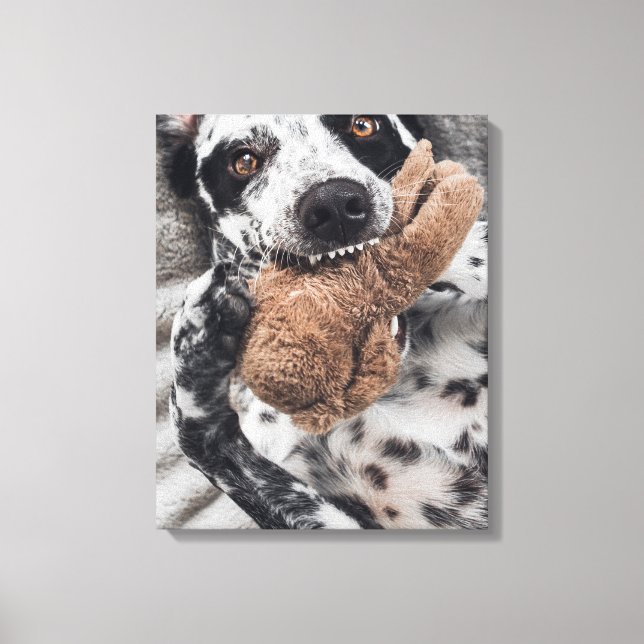 Hund Foto Husdjur Porträtt Canvastryck (Framsida)