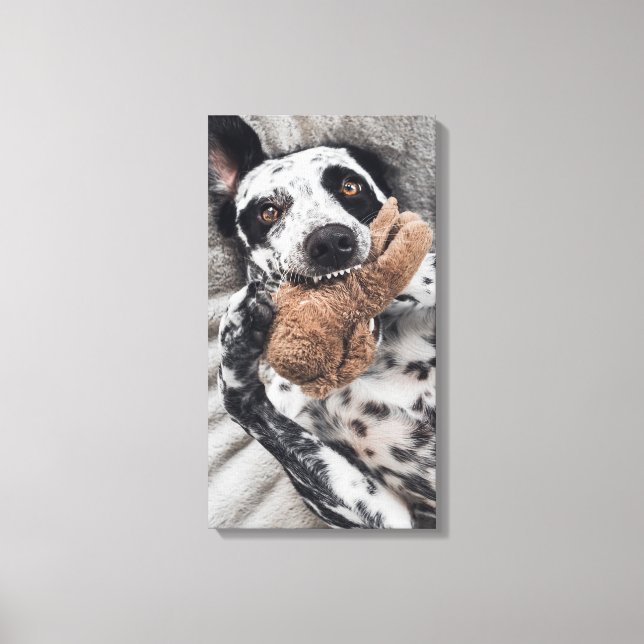 Hund Foto Husdjur Porträtt Canvastryck (Framsida)