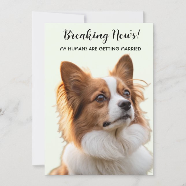 Hund Foto Mina Människor Giftar Sig Inbjudningar (Framsida)