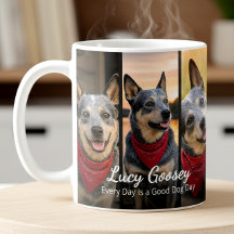 Hund Foto Namn 6 Foto