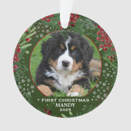Hund Foto på snöflingor från första julklappen