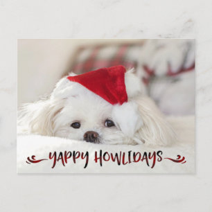 Hund Foto Röd Buffalo-ruta Skript YAPPY HOWLIDAYS Helg Vykort