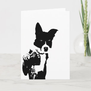Hund- fotograf kort