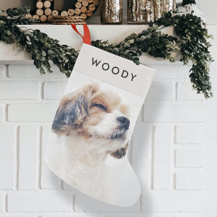 Hund fotojul   Modern Minimal Pet Namn Liten Julstrumpa