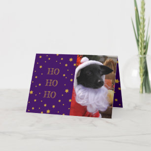 Hund fotojulkort eller lägg till ditt eget foto helgkort