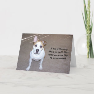 Hund-fotokort Kort