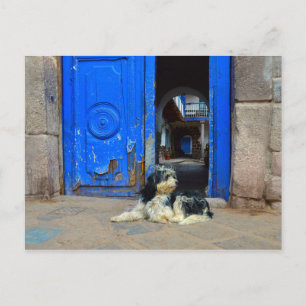 Hund framför blå dörr, Cusco, Peru Vykort