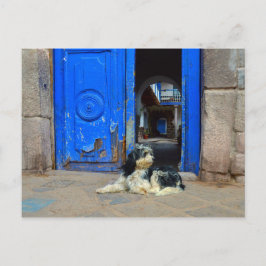 Hund framför blå dörr, Cusco, Peru Vykort