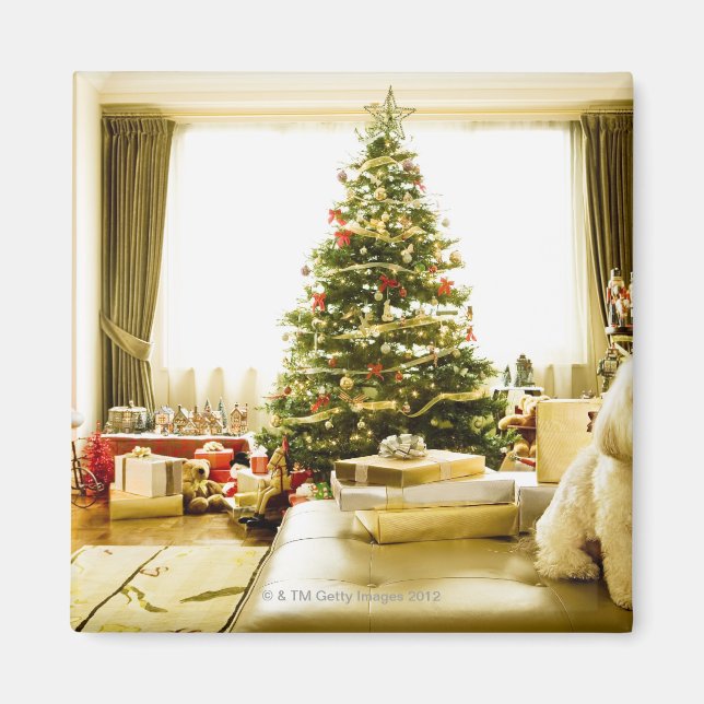 hund framför Julgran Magnet (Framsidan)