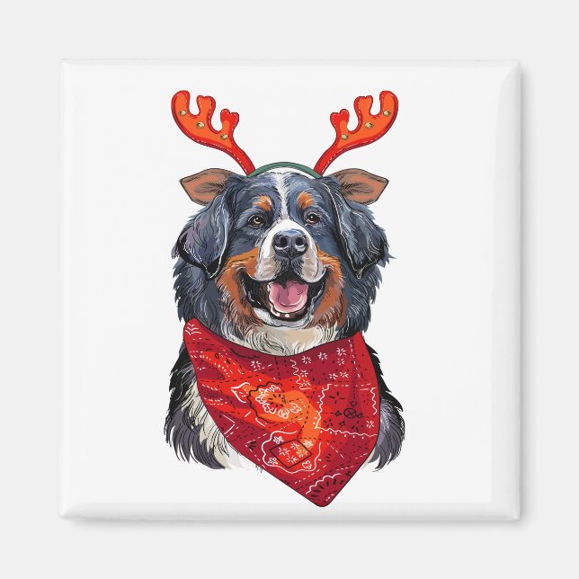 Hund från Jul Bernese Mountain Magnet (Framsidan)