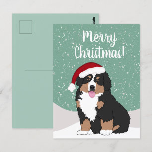 Hund från Jul Bernese Vykort