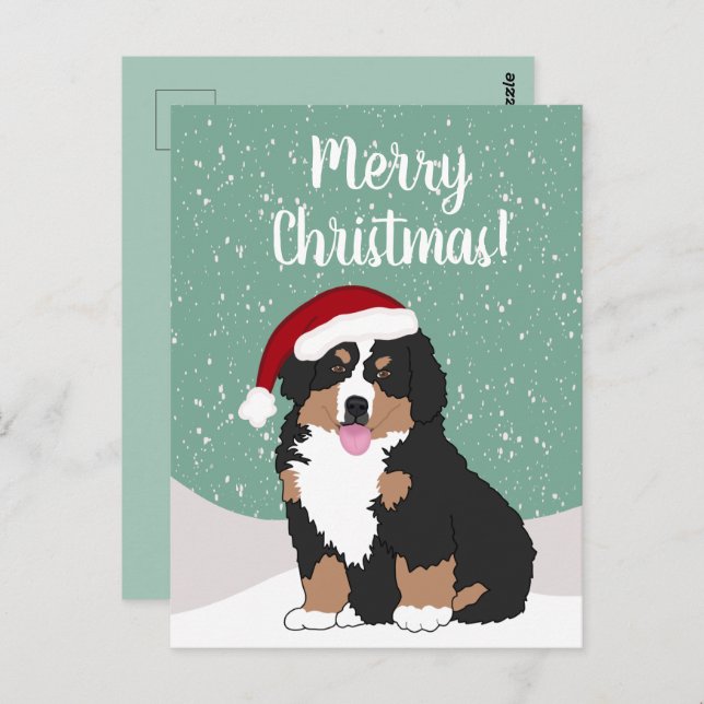 Hund från Jul Bernese Vykort (Fram/baksida)