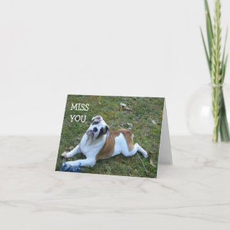 HUND FRÖCKEN SOM DU CARD KORT