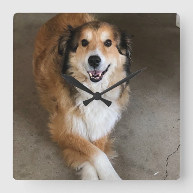 Hund Fyrkantig Klocka (Framsida)