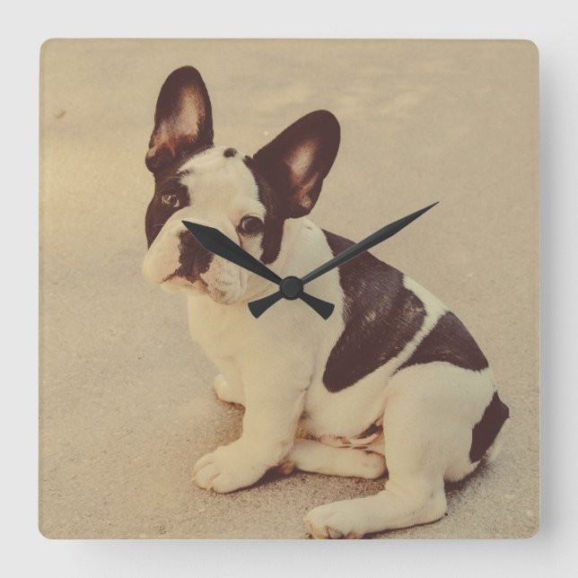 Hund Fyrkantig Klocka (Framsida)