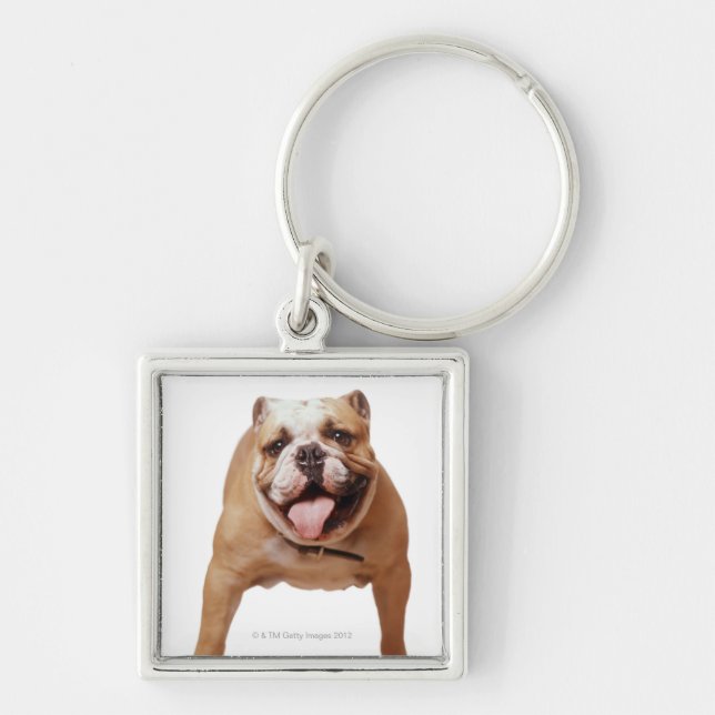 , hund fyrkantig silverfärgad nyckelring (Framsidan)