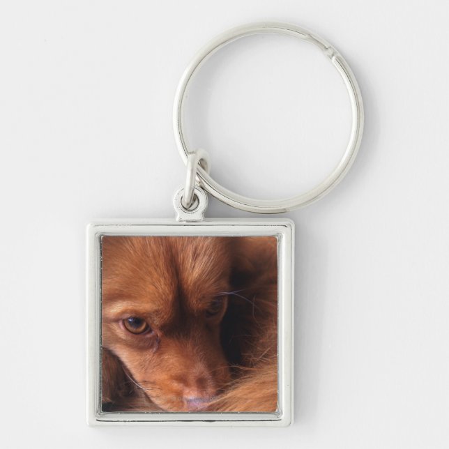 hund fyrkantig silverfärgad nyckelring (Framsidan)