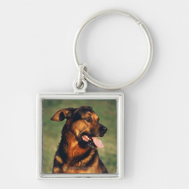 hund fyrkantig silverfärgad nyckelring (Framsidan)