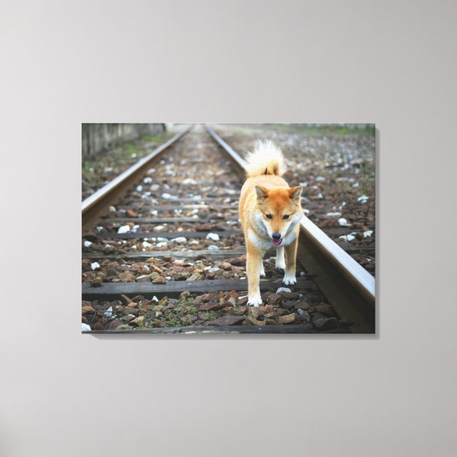 Hund gångspår canvastryck (Framsida)