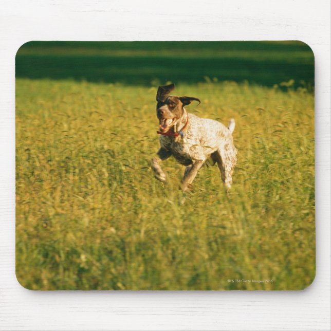 Hund genom gräs musmatta (Framsidan)