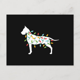 Hund Gif Julbelysning Grand Danois Meddelande Vykort