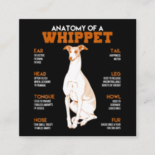 Hund Gift anatomi hos ett piskrapp hundar till en Fyrkantigt Visitkort