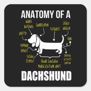 Hund Gift   Anatomi i Dachshund Fyrkantigt Klistermärke