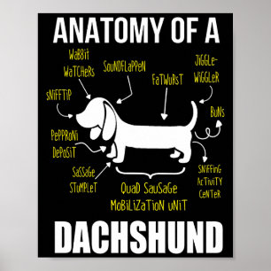 Hund Gift   Anatomi i Dachshund Poster