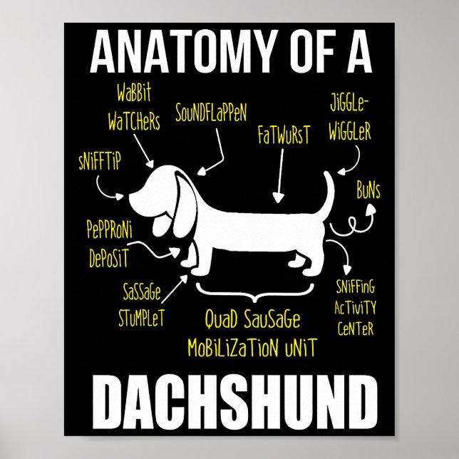 Hund Gift | Anatomi i Dachshund Poster (Framsidan)