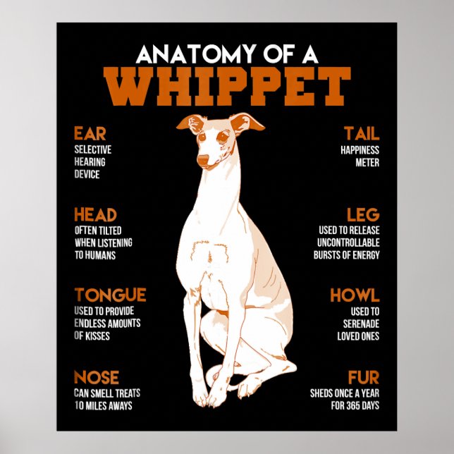 Hund Gift | anatomi i ett piskverk hundar till lus Poster (Framsidan)