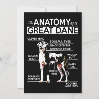 Hund Gift| Anatomin i ett Great dane Tack Kort