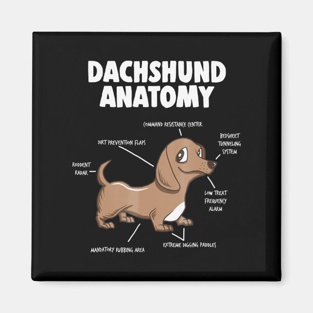Hund Gift | Anatomy Dachshund Funny Weiner Magnet (Framsidan)